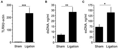 Activation of Toll-Like Receptor 9 Impairs Blood Flow Recovery After Hind-Limb Ischemia